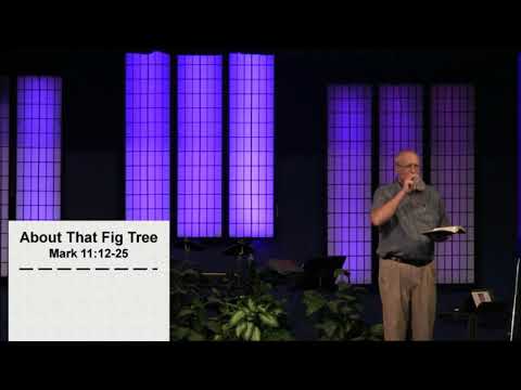 About That Fig Tree
