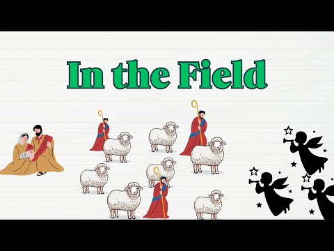 In the Field