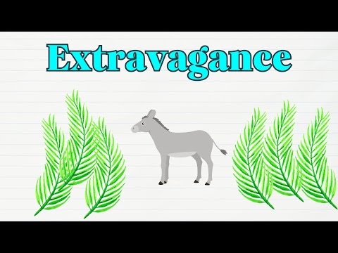 Extravagance